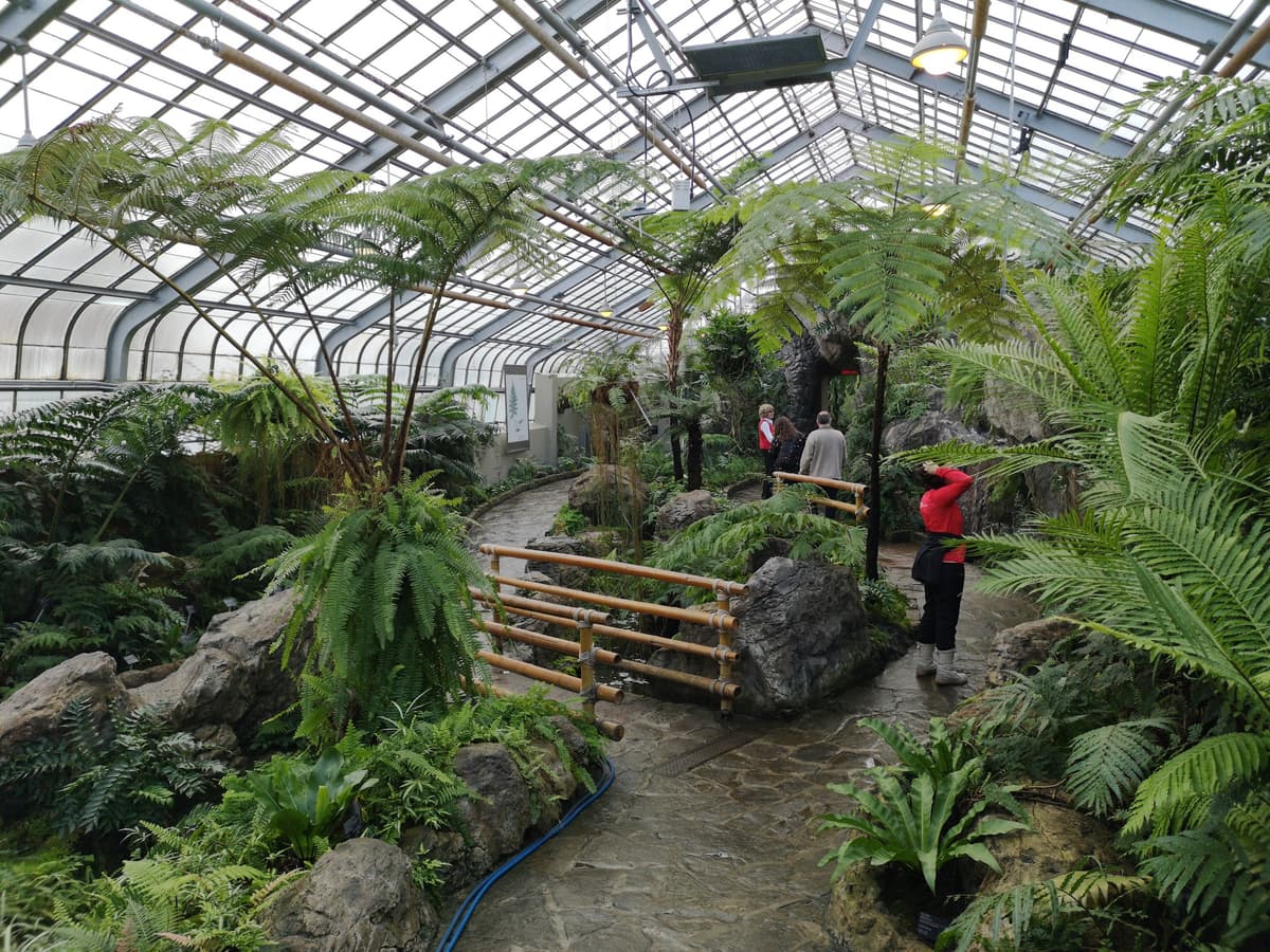 The Friends of the Botanical Garden of Montreal