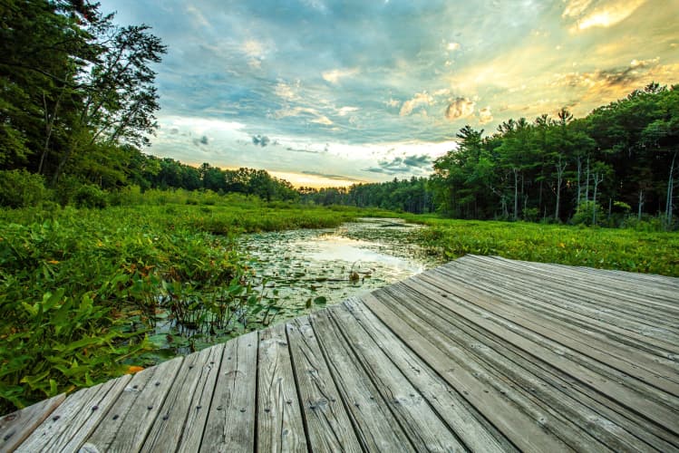 Mass Audubon's Broadmoor Wildlife Sanctuary — photo 1 of 2