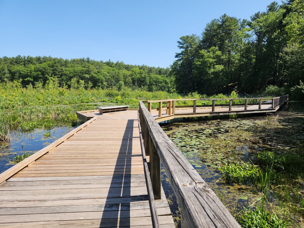 Mass Audubon's Broadmoor Wildlife Sanctuary
