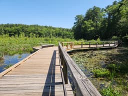 Mass Audubon's Broadmoor Wildlife Sanctuary