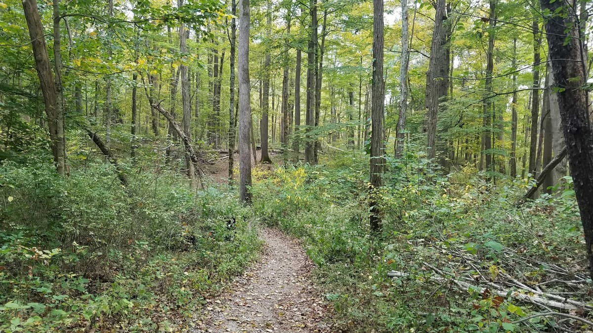 Cincinnati Nature Center