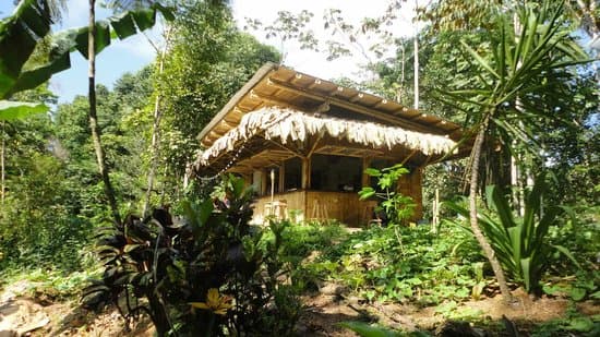Finca la Puebla Organic Farm and Eco Retreat