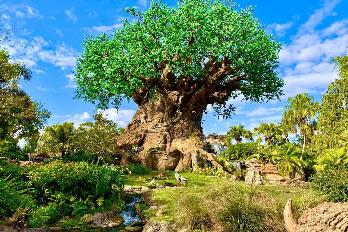 Disney's Animal Kingdom Theme Park