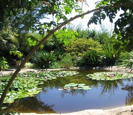 San Diego Botanic Garden — photo 1 of 6