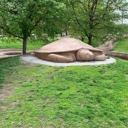 Turtle Park