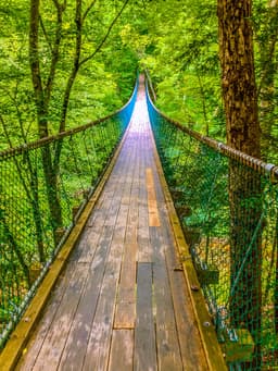 Foxfire Adventure Park