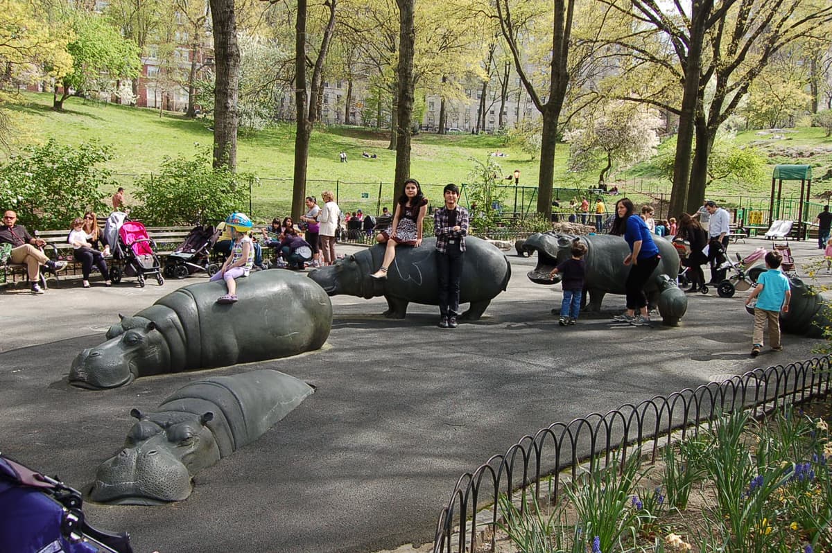 Hippo Playground