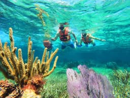 Snorkel Adventure Cancun