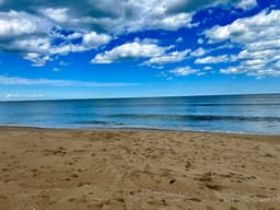 Beach Park
