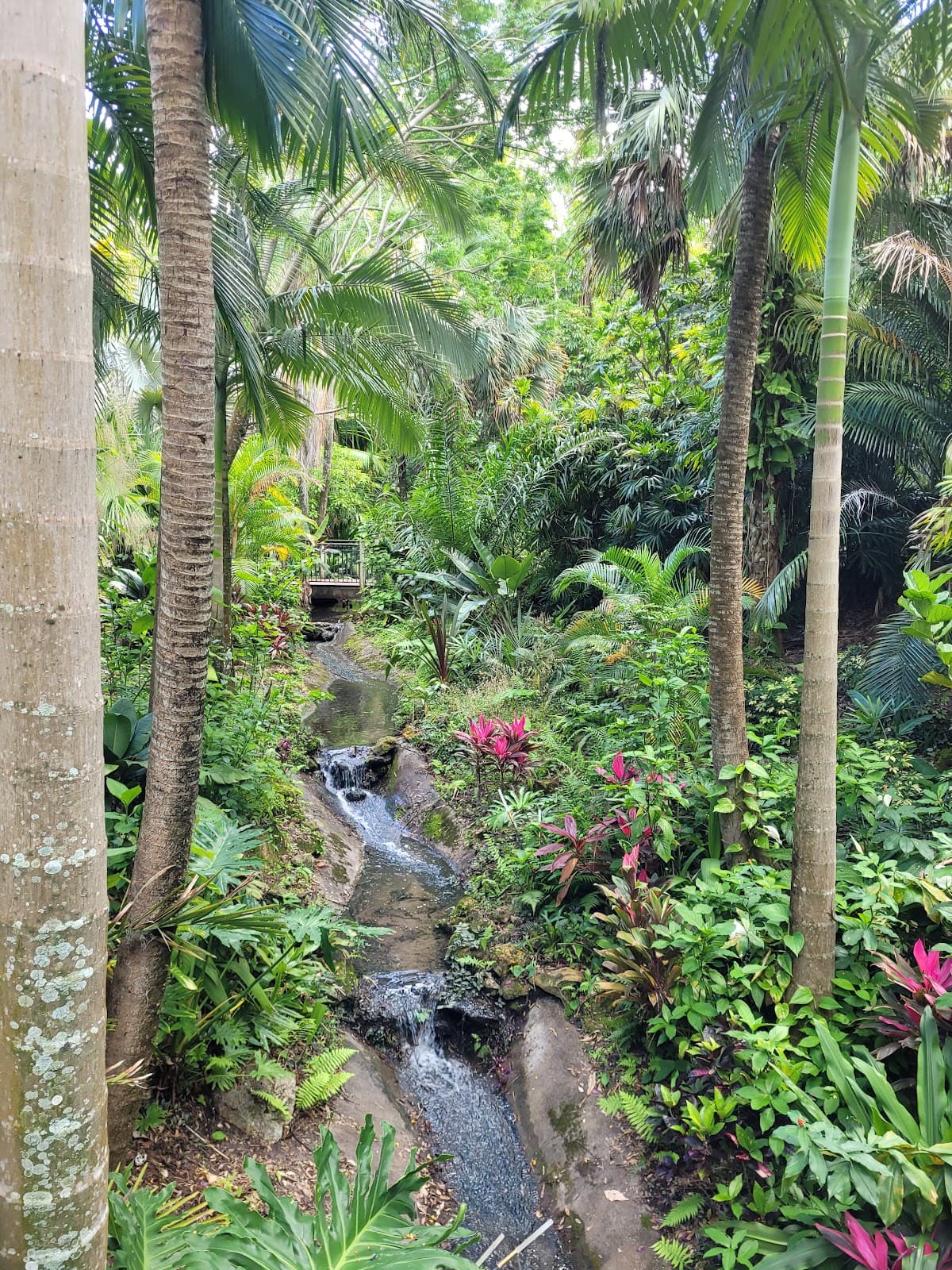 Leu Botanical Gardens