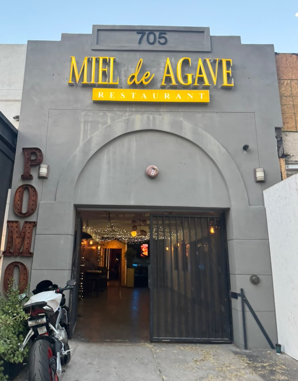 Miel de Agave Phoenix