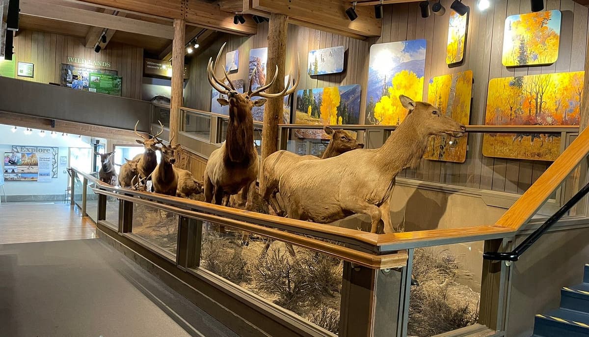 National Elk Refuge & Greater Yellowstone Visitor Center