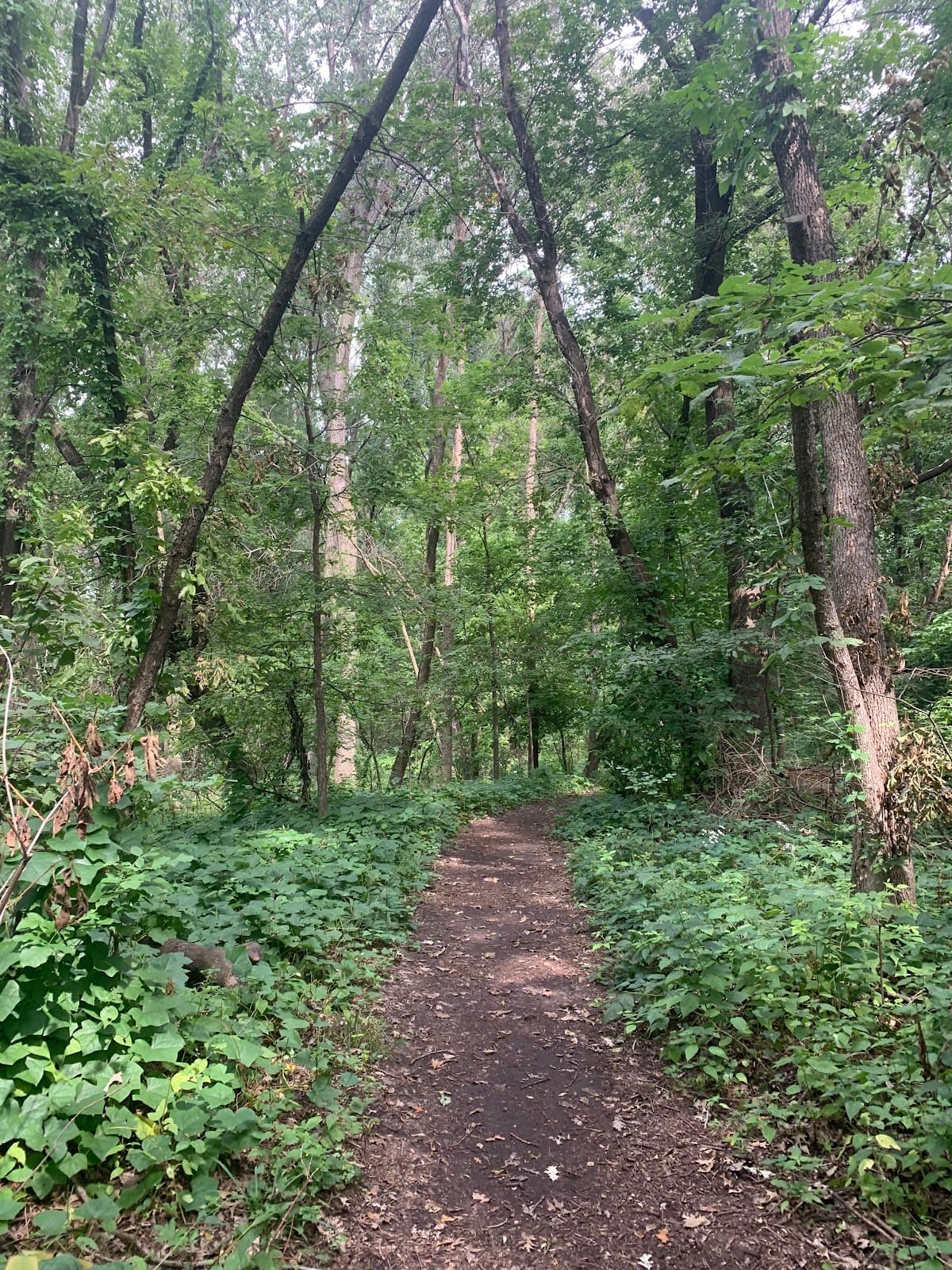 Thomas Sadler Roberts Bird Sanctuary