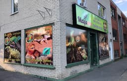 Magazoo The Universe Of Reptiles