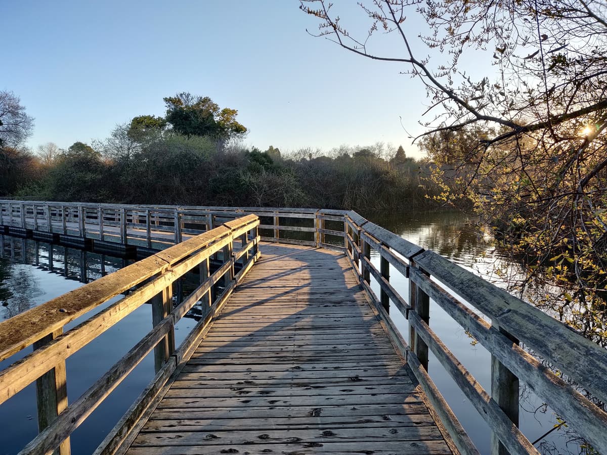 Neary Lagoon Park, photo 1 of 1