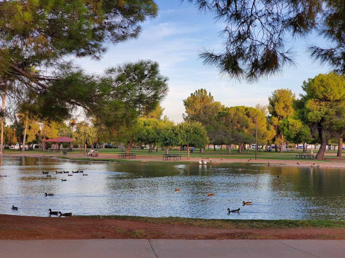 Roadrunner Park