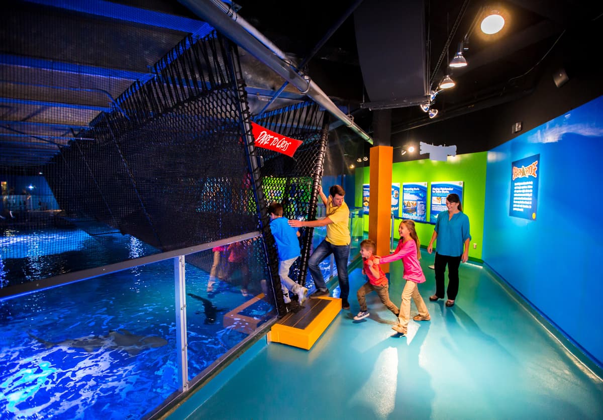 Newport Aquarium