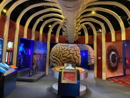 The Health Museum