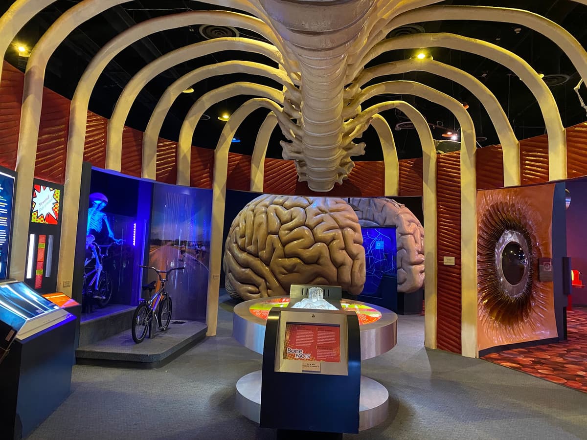 The Health Museum