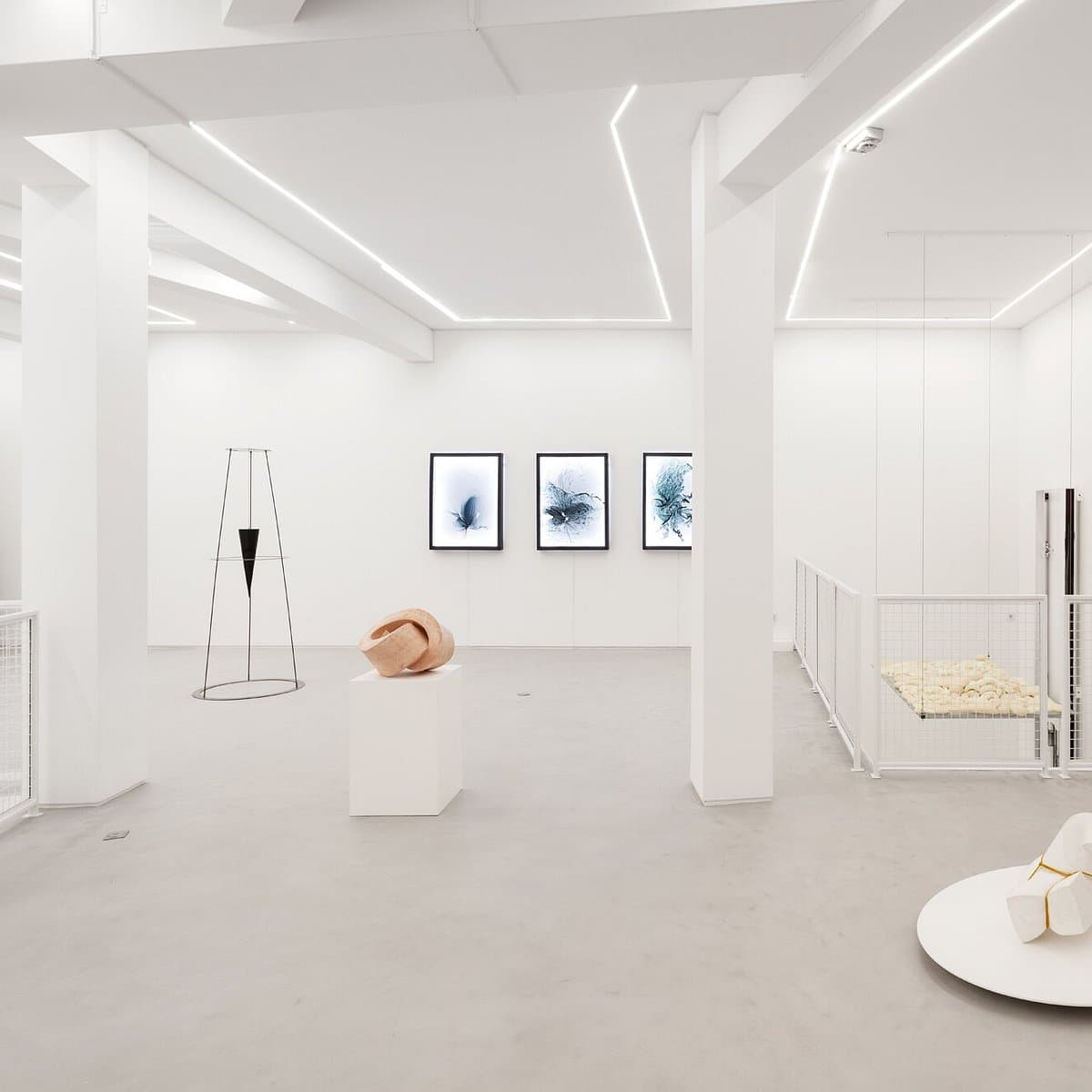 Galeria Foco, photo 1 of 2