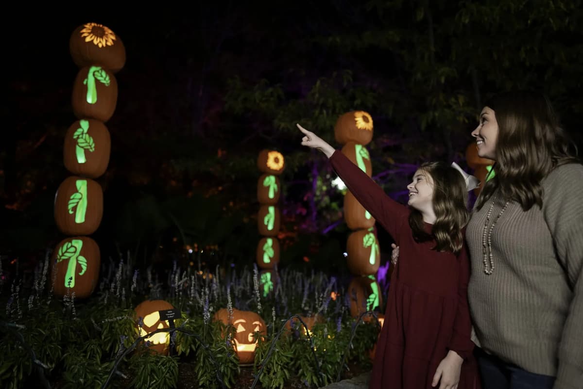 Jack O'Lantern Glow