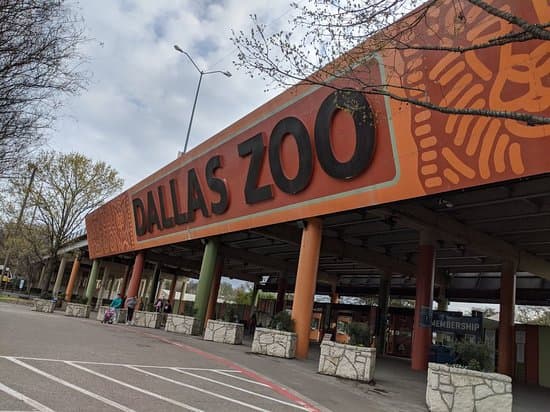 Dallas Zoo — photo 1 of 6