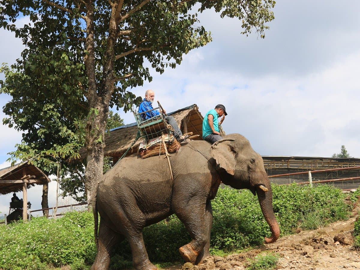 Trekking Thai, photo 1 of 2