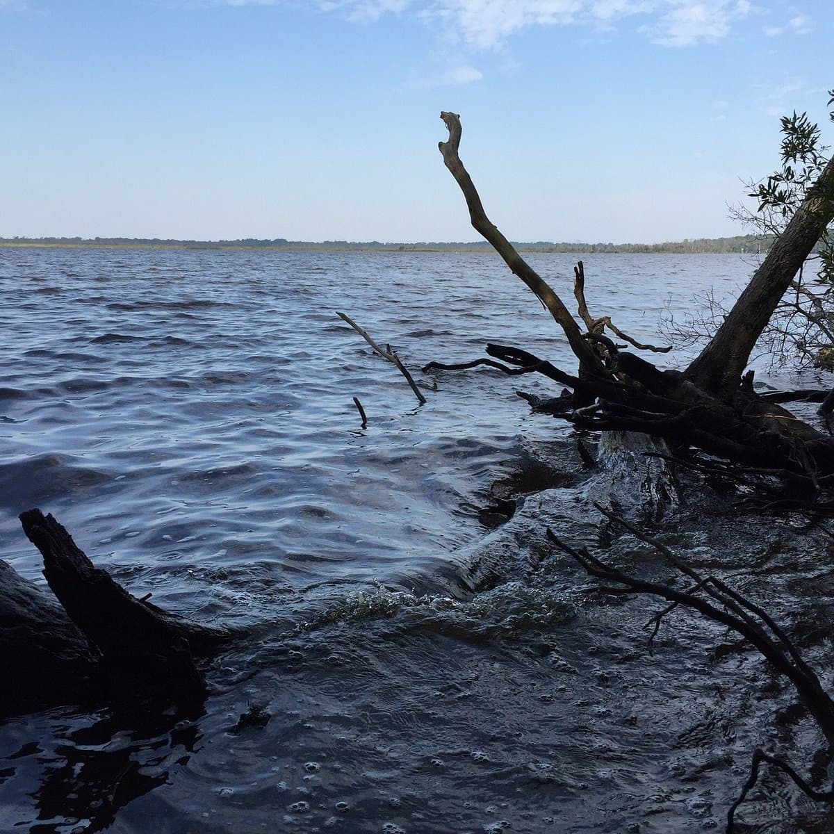Munden Point Park