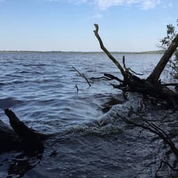 Munden Point Park