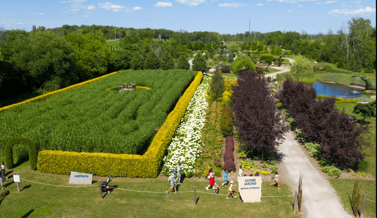 Champs De Reves