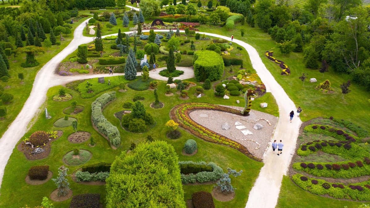 Champs De Rêves, photo 1 of 6