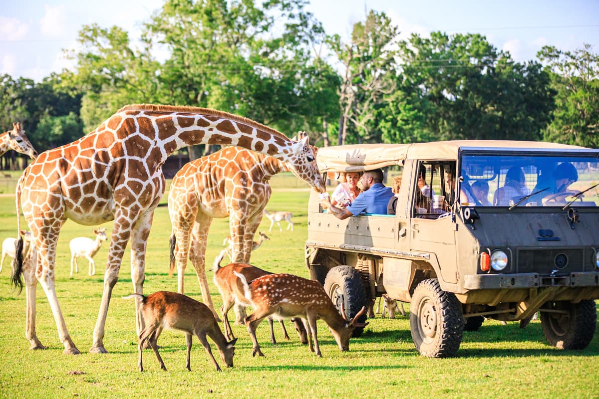 Global Wildlife Center, photo 1 of 1