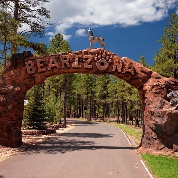 Fort Bearizona