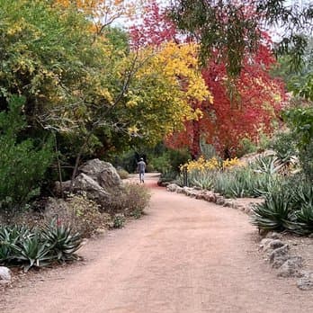 Arizona Botanical Gardens