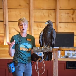Teton Raptor Center