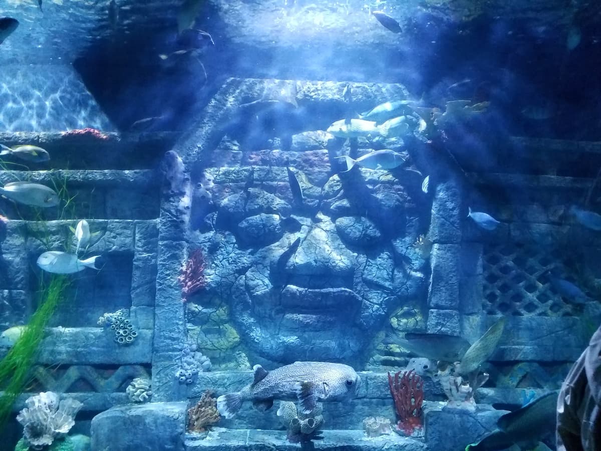 Downtown Aquarium, photo 1 of 1