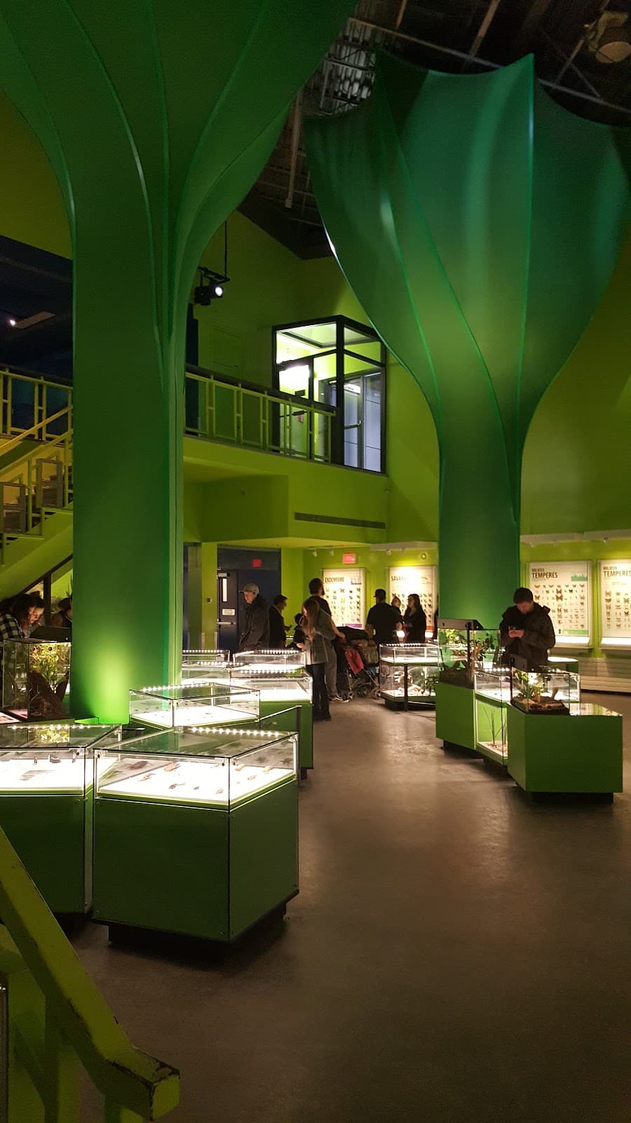 Montreal Insectarium
