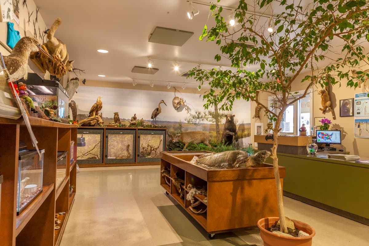 Gulf State Park Nature Center