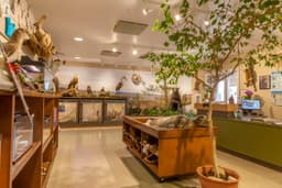 Gulf State Park Nature Center