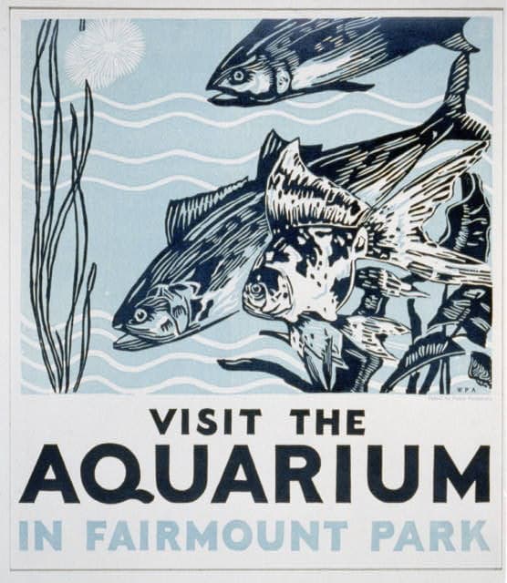 Electric City Aquarium & Reptile Den — photo 1 of 6