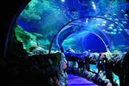 SEA LIFE Charlotte-Concord Aquarium