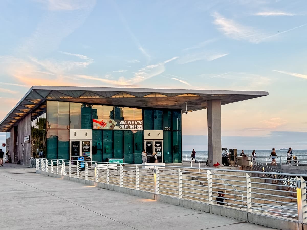 Tampa Bay Watch Discovery Center