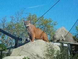 Parc zoologique de Paris