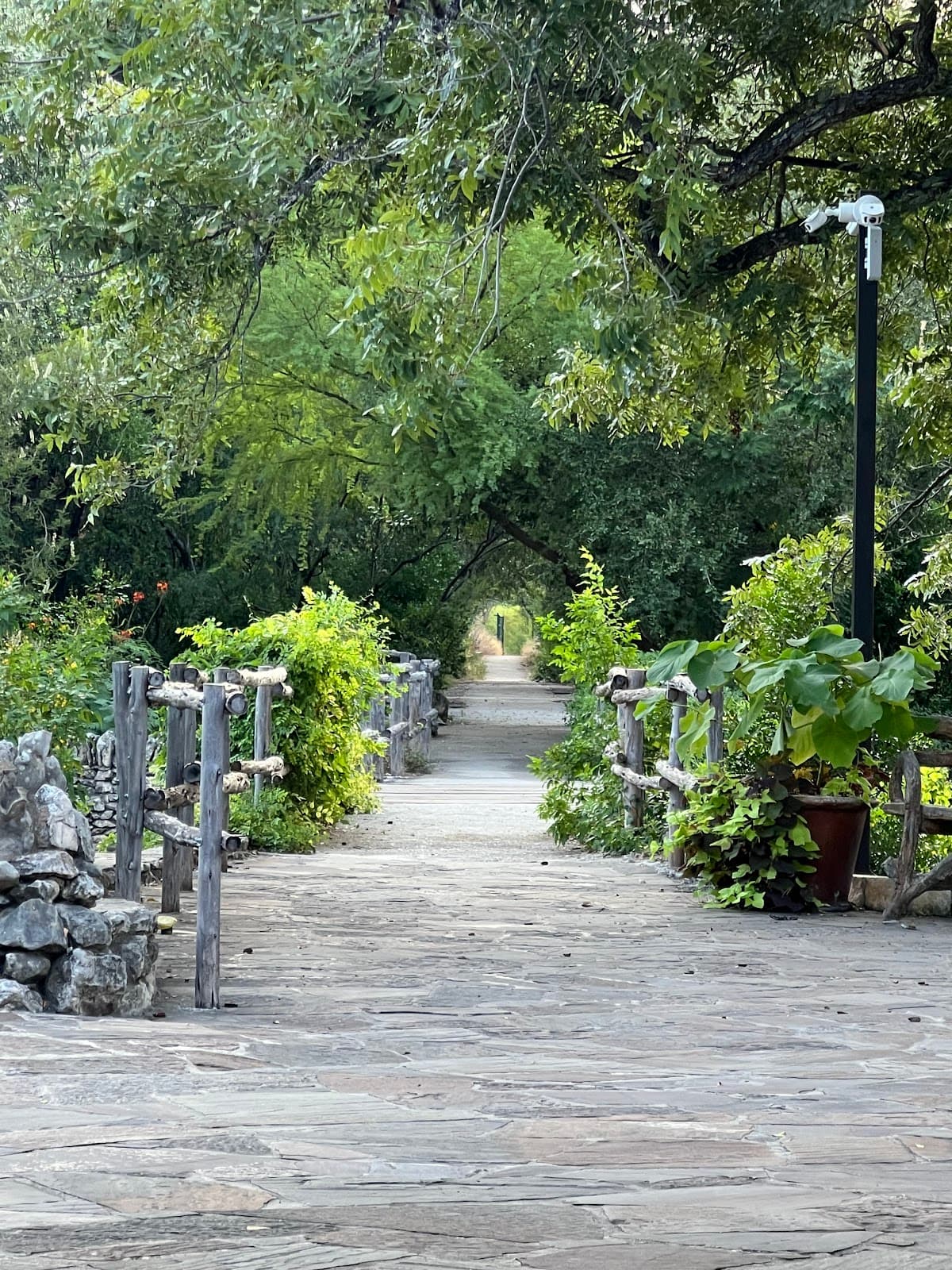 Japanese Tea Garden