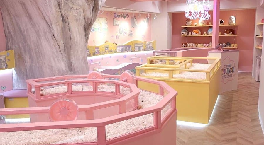 Harajuku Kawaii Land Kyun Kyun Animal Petting