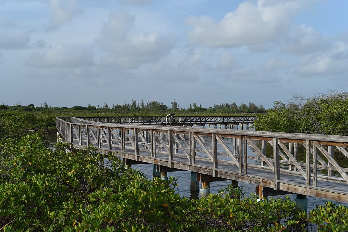 Bonefish Pond National Park, photo 1 of 2