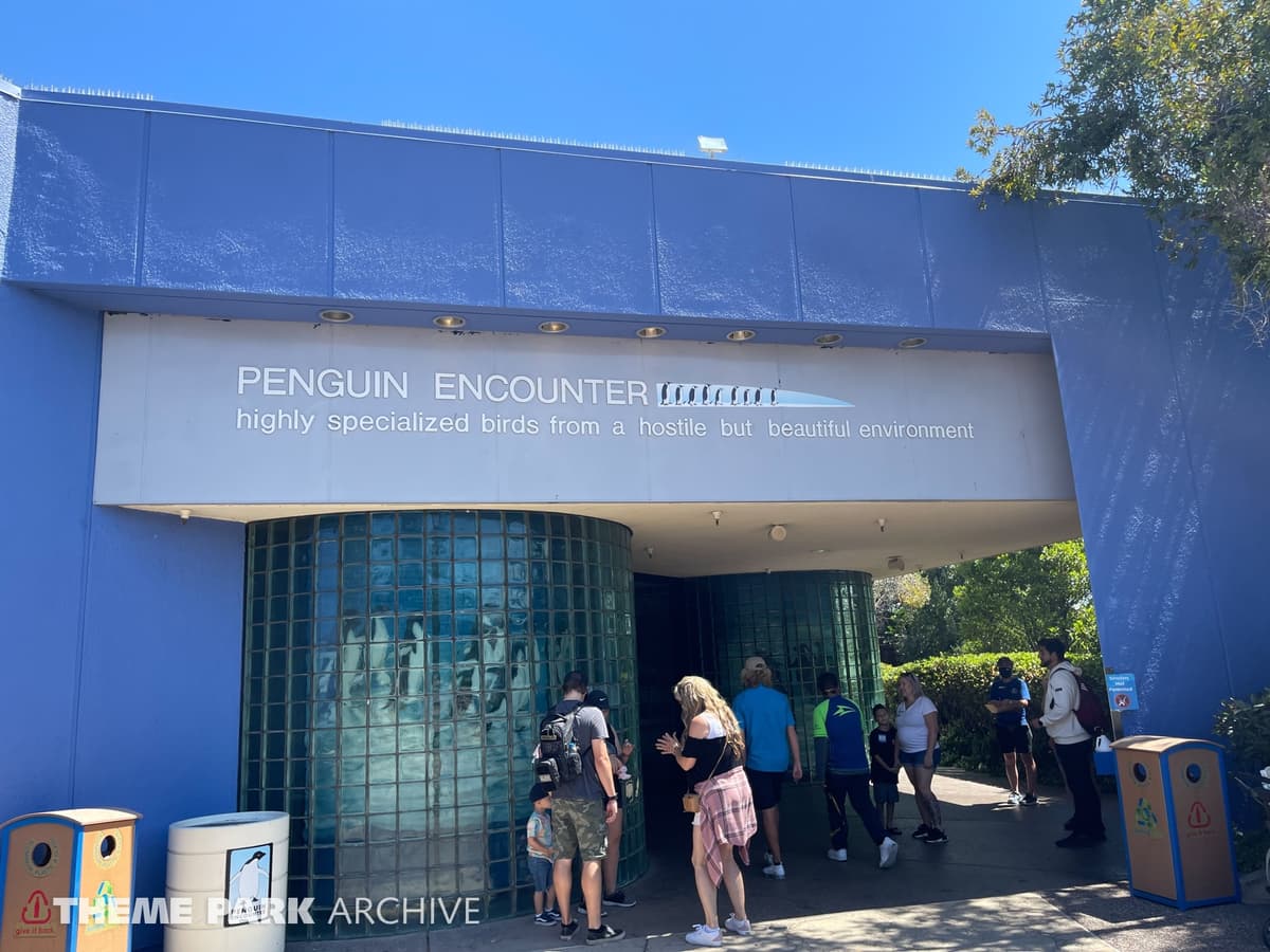 Penguin Encounter