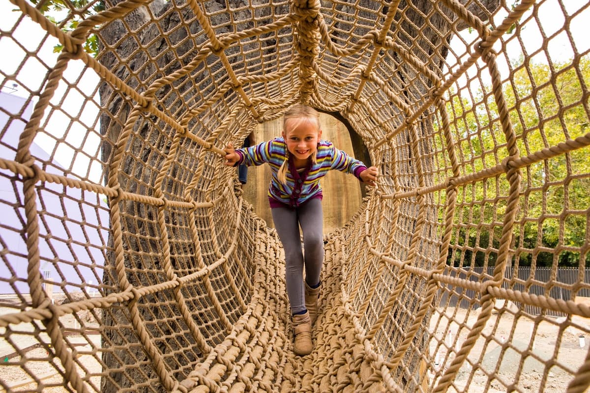 Children's Discovery Museum of San Jose — photo 1 of 1