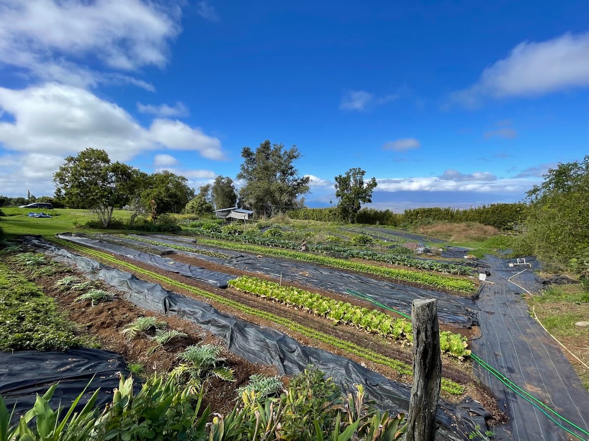 O'o Farm — photo 1 of 1