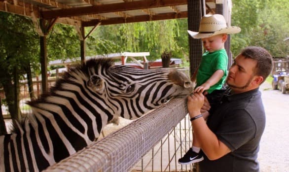 Smoky Mountain Deer Farm and Exotic Petting Zoo